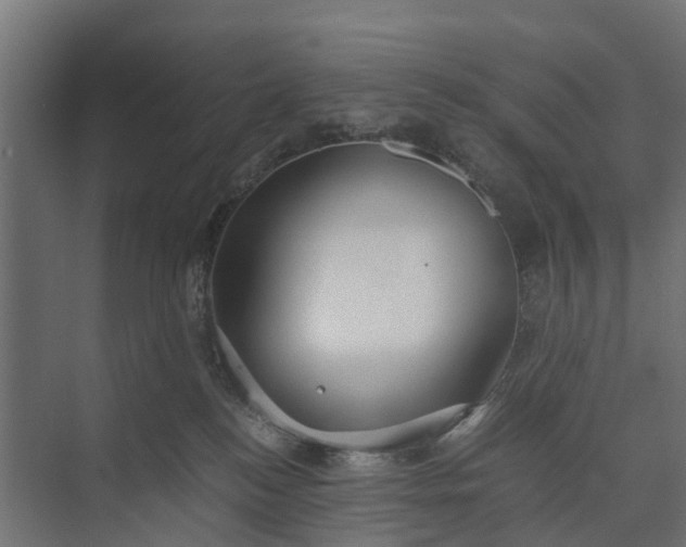 X0000073860184200608241118