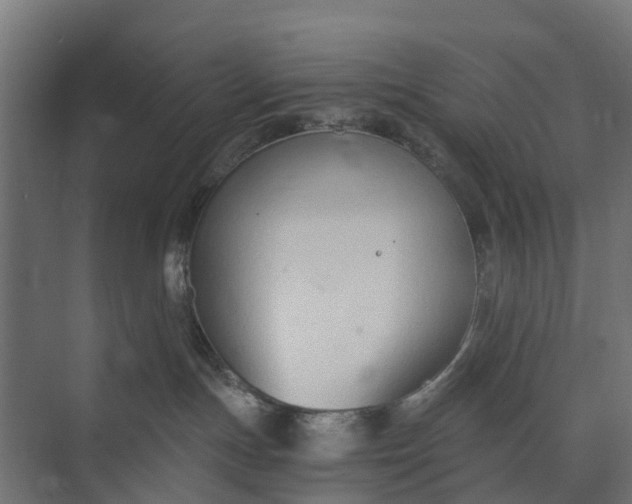 X0000073860191200608241118