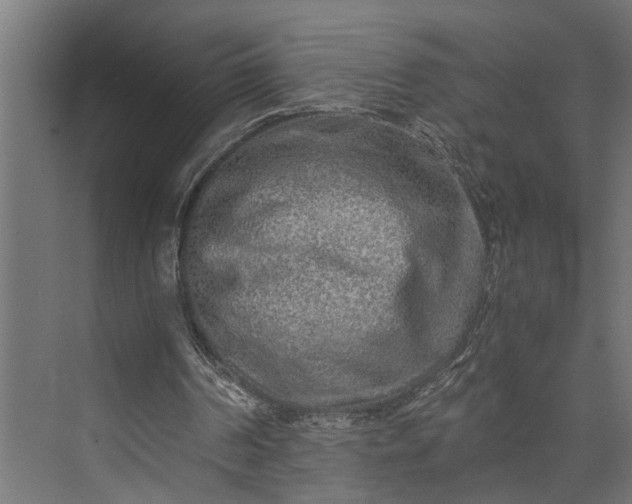 X0000073860194200608241117