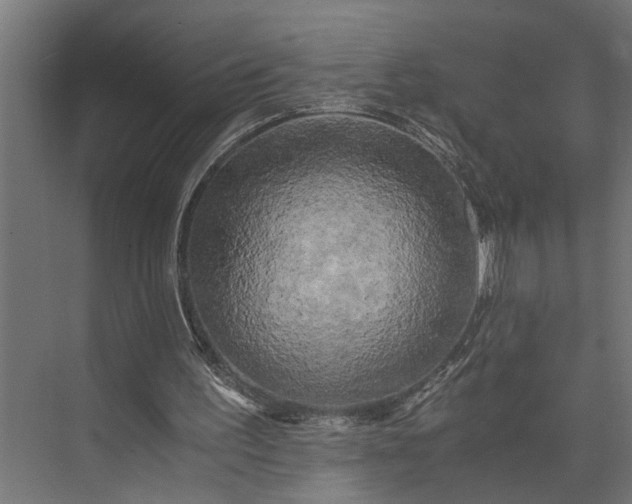 X0000073860195200608241117