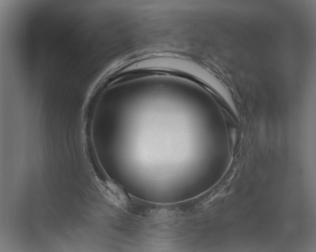 X0000073860197200608241117