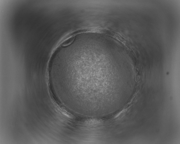 X0000073860198200608241117