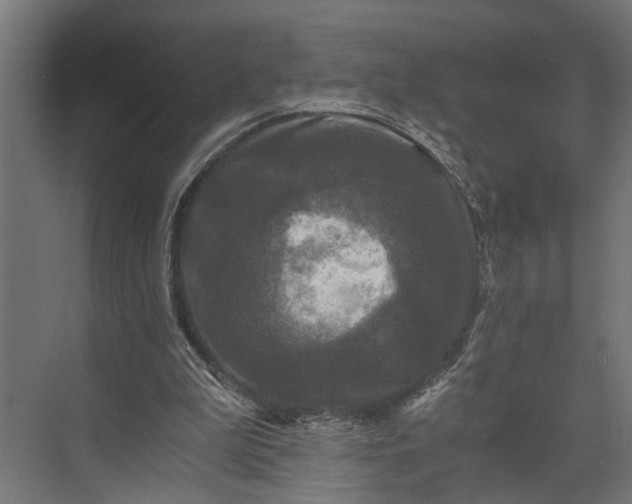 X0000073860199200608241117