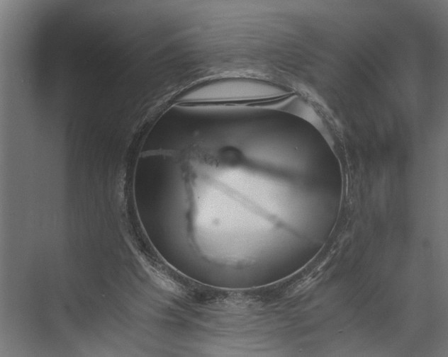 X0000073860201200608241117