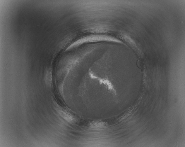 X0000073860202200608241117