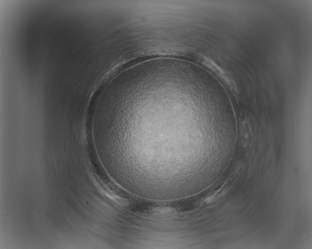 X0000073860203200608241117