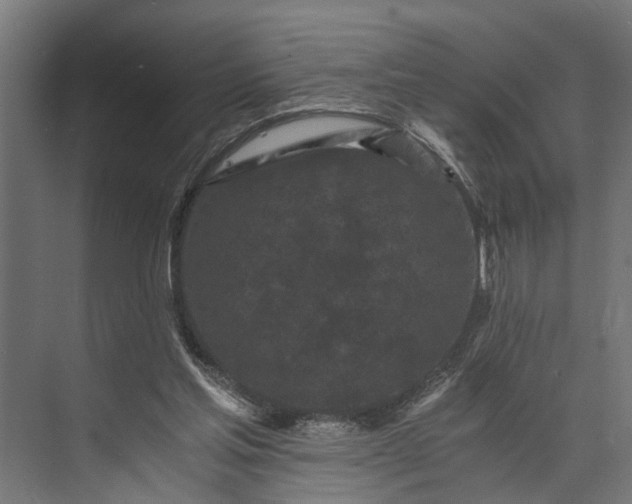 X0000073860205200608241117