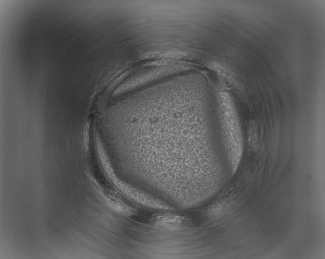 X0000073860206200608241117