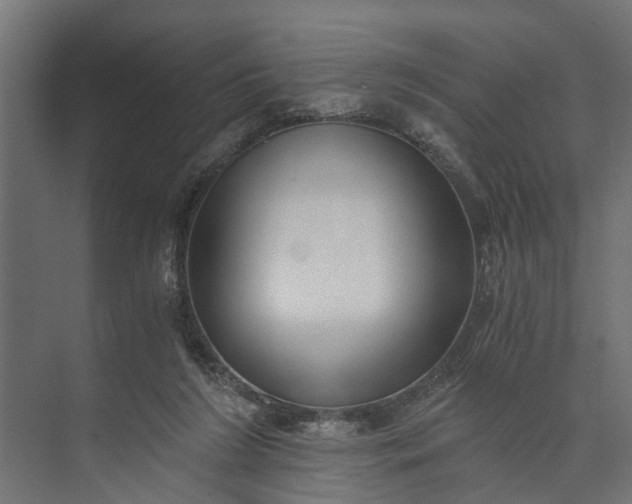 X0000073860212200608241117