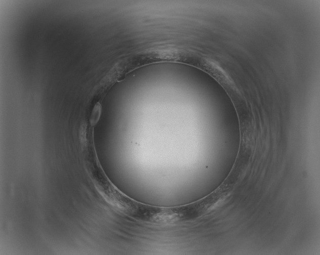 X0000073860213200608241117