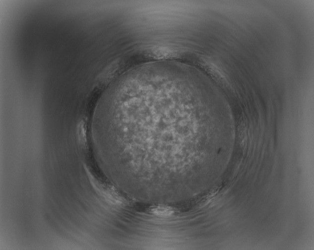 X0000073860214200608241117