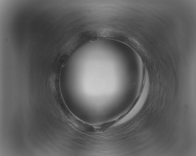 X0000073860217200608241117