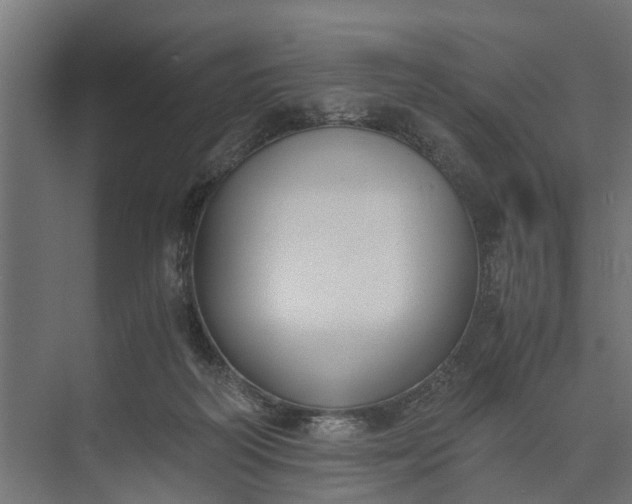 X0000073860218200608241117