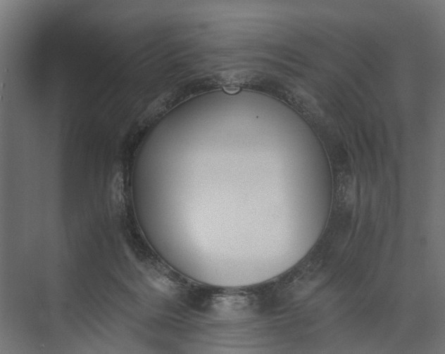 X0000073860220200608241117