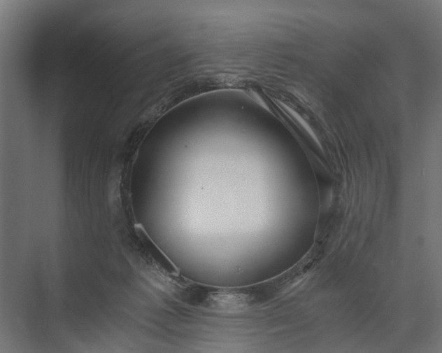 X0000073860221200608241117