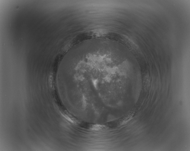 X0000073860222200608241117