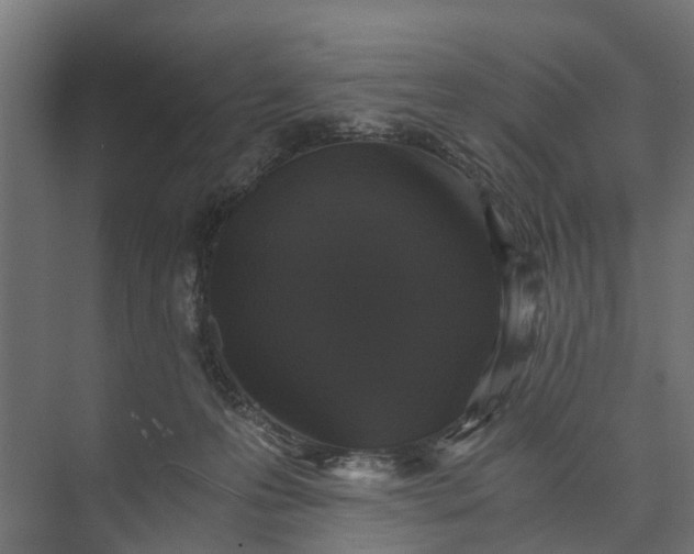 X0000073860223200608241117