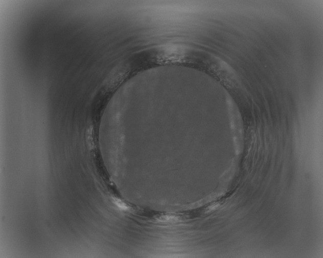 X0000073860224200608241117