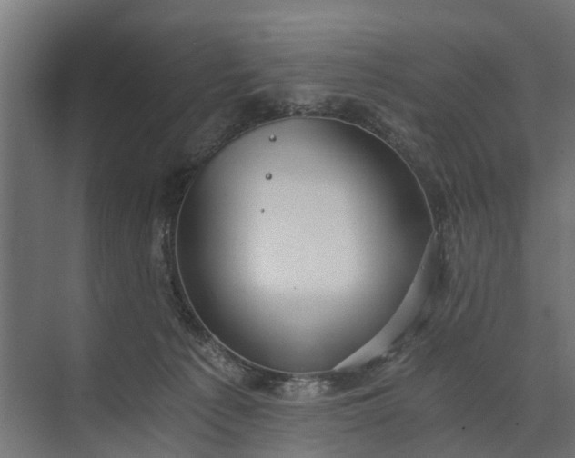 X0000073860225200608241117