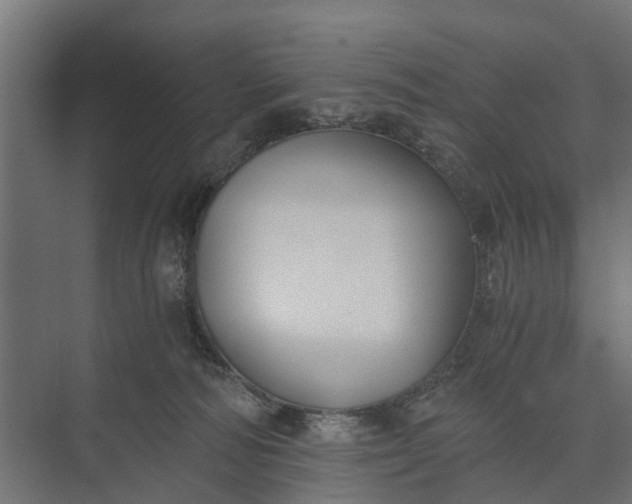 X0000073860226200608241117