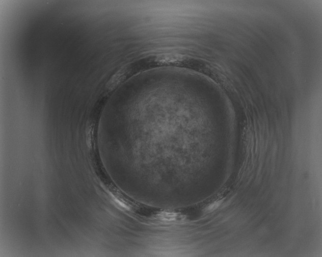 X0000073860227200608241117