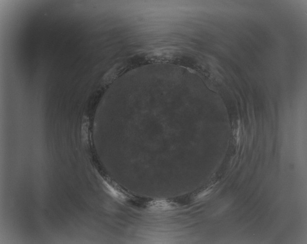 X0000073860231200608241117