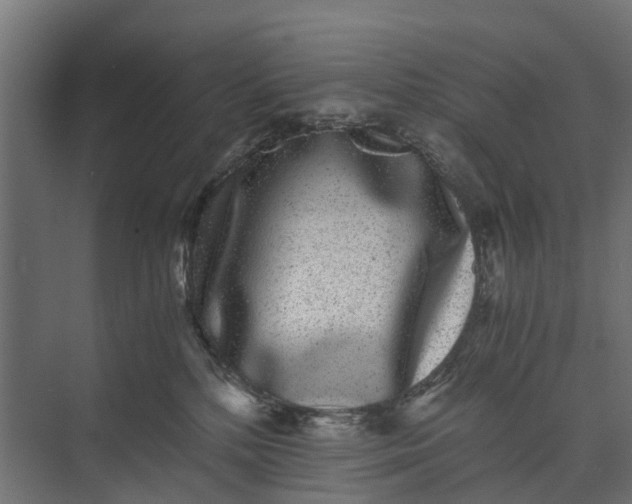 X0000073860232200608241117