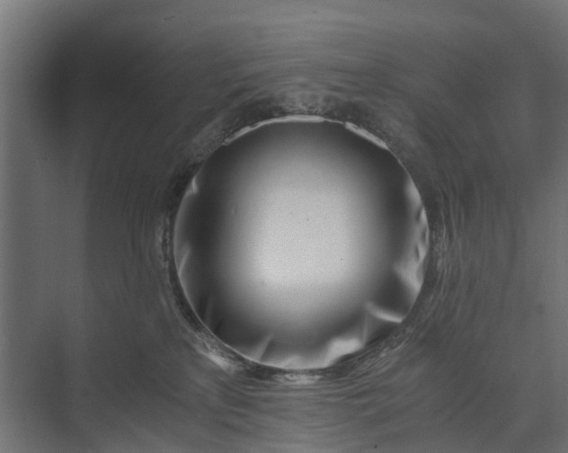 X0000073860233200608241117