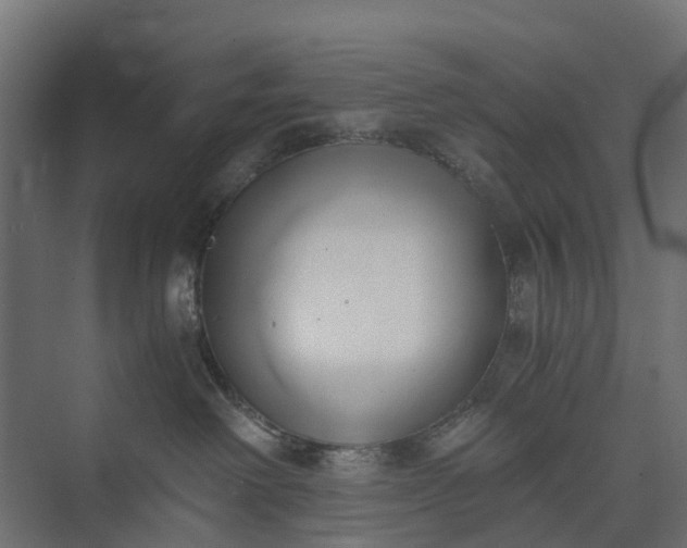 X0000073860238200608241117