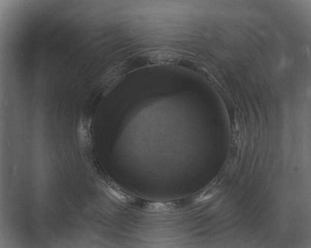 X0000073860239200608241116