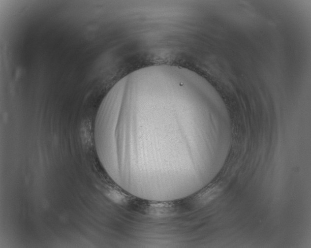 X0000073860240200608241116