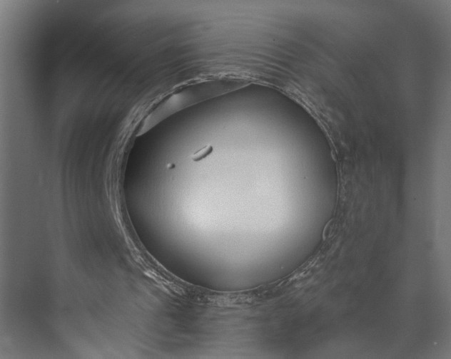 X0000073860241200608241116