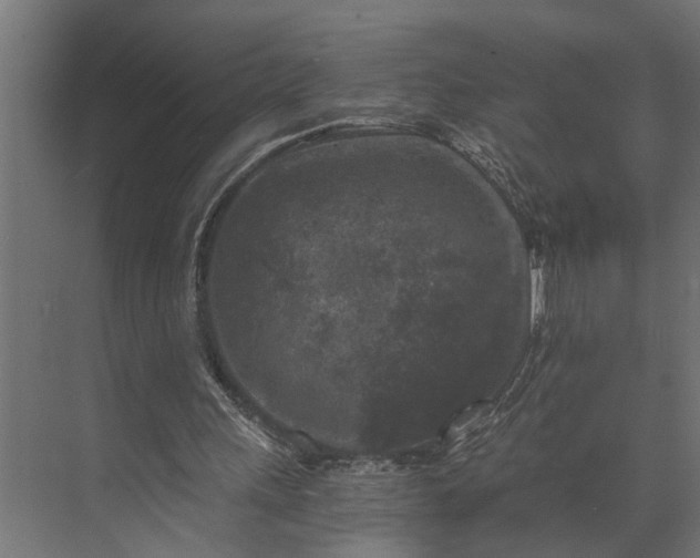 X0000073860243200608241116