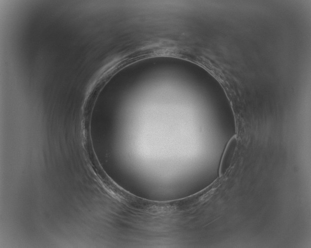 X0000073860245200608241116