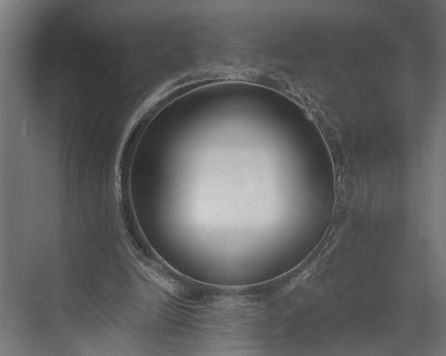 X0000073860246200608241116