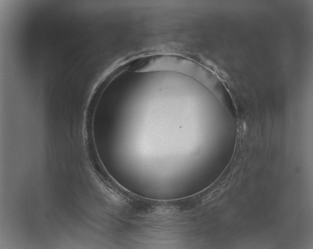 X0000073860248200608241116