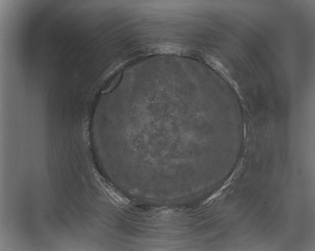 X0000073860249200608241116