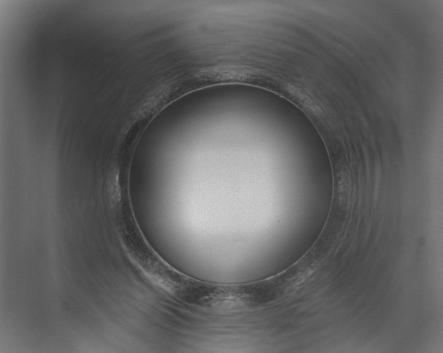 X0000073860254200608241116