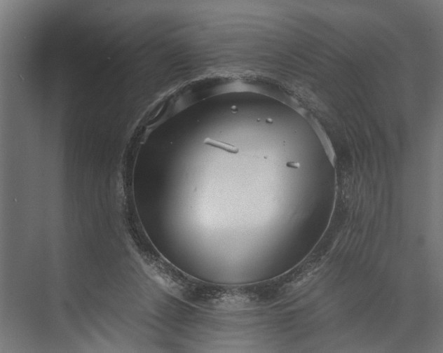 X0000073860256200608241116