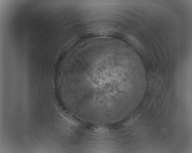 X0000073860258200608241116