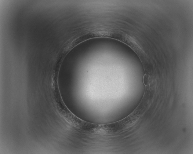 X0000073860259200608241116