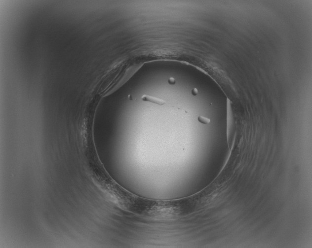 X0000073860260200608241116