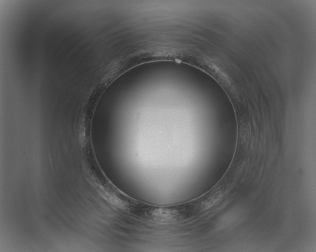 X0000073860261200608241116