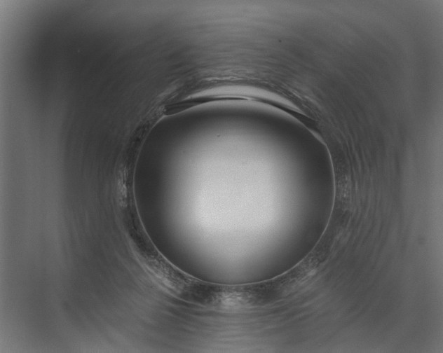 X0000073860264200608241116