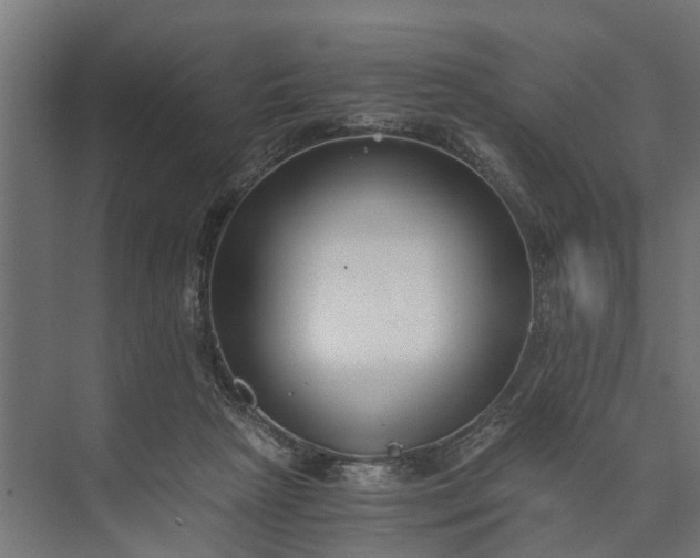 X0000073860265200608241116