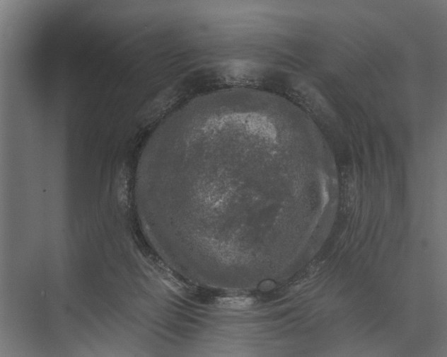 X0000073860266200608241116