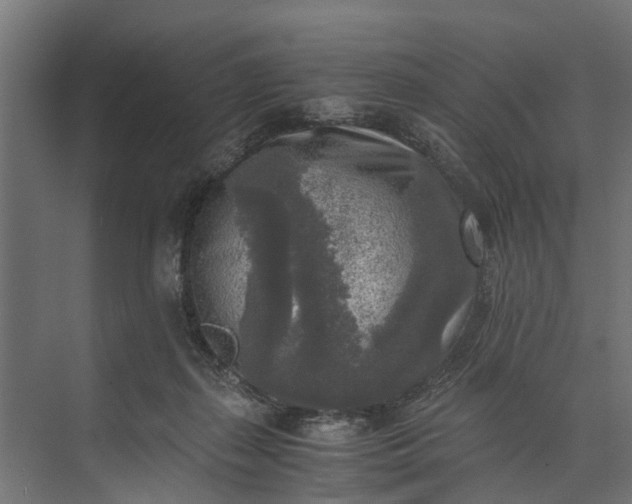 X0000073860267200608241116