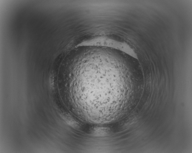 X0000073860268200608241116