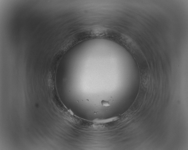 X0000073860270200608241116