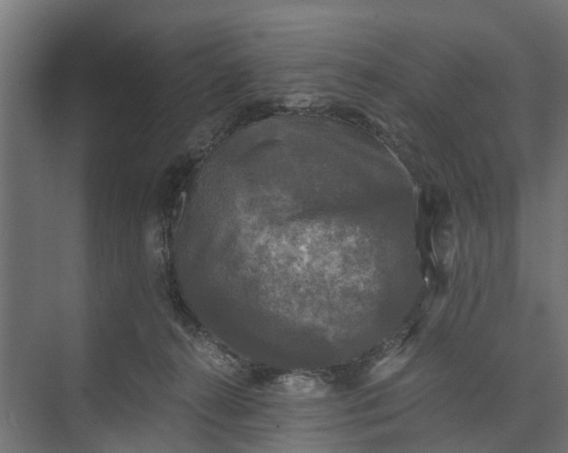 X0000073860272200608241116